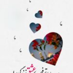 Avatar for محمود شجری